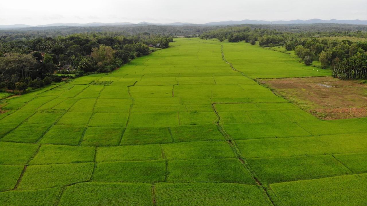 Ibbani Homestay, Siddapur Ngoại thất bức ảnh