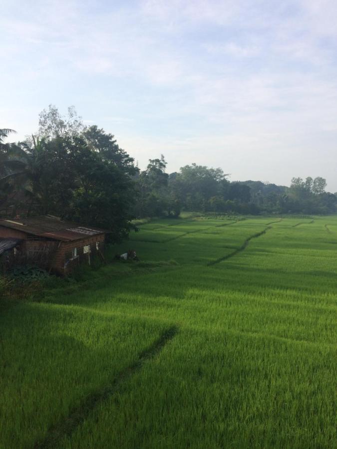 Ibbani Homestay, Siddapur Ngoại thất bức ảnh